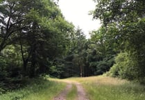 Woodland sells for £143,000