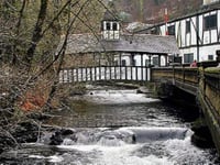 Trago joins forces with Wildlife Trust