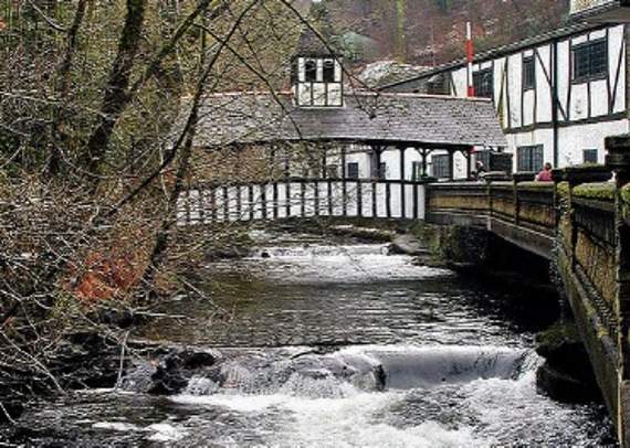 Trago joins forces with Wildlife Trust