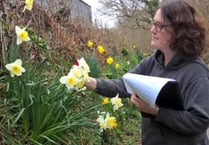 First daffodil training event held