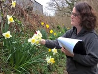 First daffodil training event held