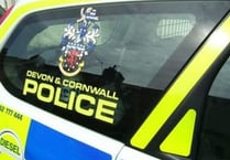 Alarm halted school break-in