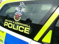 Alarm halted school break-in
