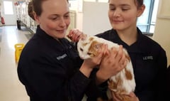 Recruits help out at pets' sanctuary