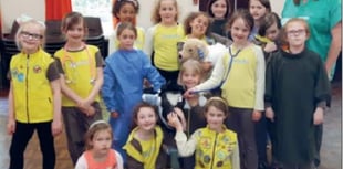 Brownies meet local vet