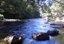 Exploring Tamar Valley