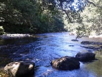 Exploring Tamar Valley
