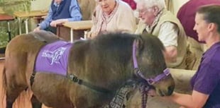 Pony's visit to care home