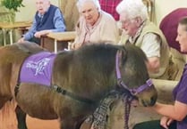 Pony's visit to care home