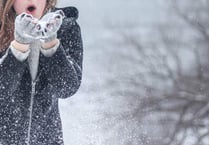 Latest school closures
