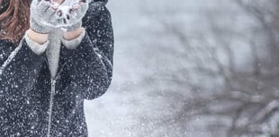 Latest school closures