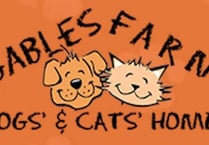 Fund-raiser for animal sanctuary