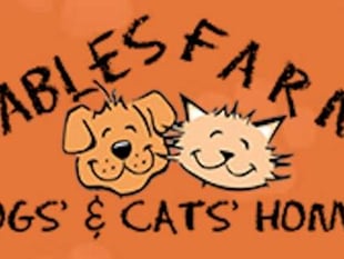 Fund-raiser for animal sanctuary