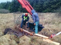 £2m for peat's sake