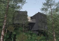 Woodland plan for luxury eco-lodges
