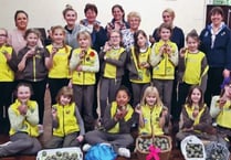 Brownies lend a hand