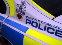Women dies after eight-vehicle A38 crash
