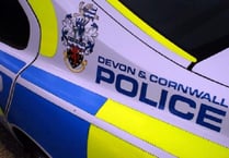 Women dies after eight-vehicle A38 crash