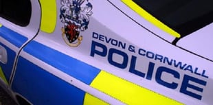 Women dies after eight-vehicle A38 crash