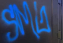 Police hunt for spray vandal