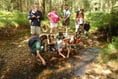 Join 'The Big Forest Find' at Cardinham