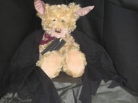 Unusual teddy is encouraging young visitors to learn more about bats.....