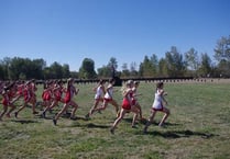 First event in Schools Cross Country League postponed