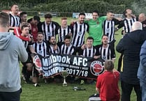 Shepherd goal lifts promoted Millbrook up to fifth place