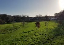 Get planting trees in Priory Meadow, Bodmin