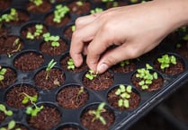 Get advice on grant funding for rural business