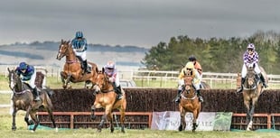 Relive past action with point-to-point and National Hunt DVD