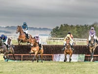 Relive past action with point-to-point and National Hunt DVD