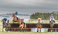 Relive past action with point-to-point and National Hunt DVD