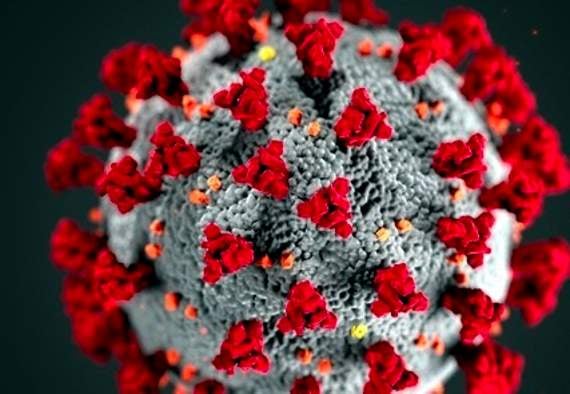 Coronavirus deaths reach 21 in Cornwall