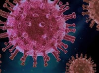 Covid deaths at lowest weekly total since early October