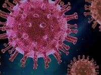 Covid deaths at lowest weekly total since early October