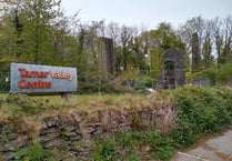 Tamar Valley engine house fenced off due to collapsed shaft