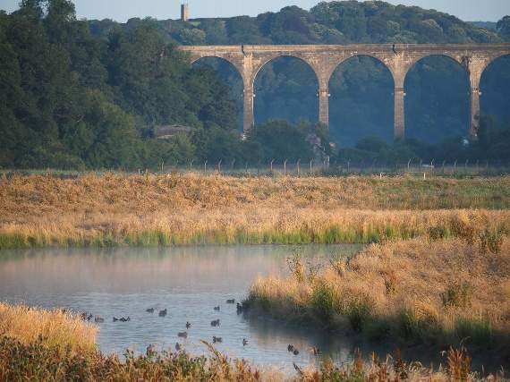 Why not become a community trustee?