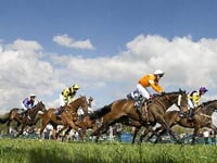 Tiverton staghounds point to point returns this Sunday 