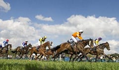 Tiverton staghounds point to point returns this Sunday 