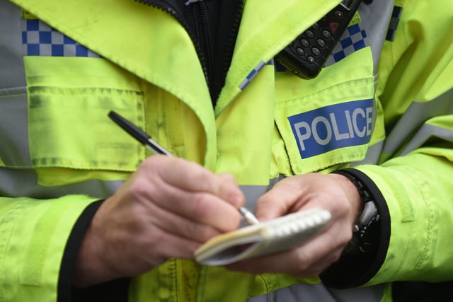 Police appeal for information on dog kicking incident