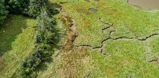 Environment group seeks ambition over Landscapes Review