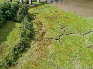 Environment group seeks ambition over Landscapes Review