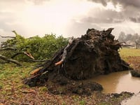 RED ALERT for Storm Eunice forecast to hit the South-West tomorrow