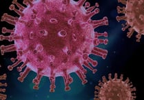 Researchers aim to discover how viruses communicate