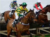 Don't miss out on the Point to Point today at Buckfastleigh