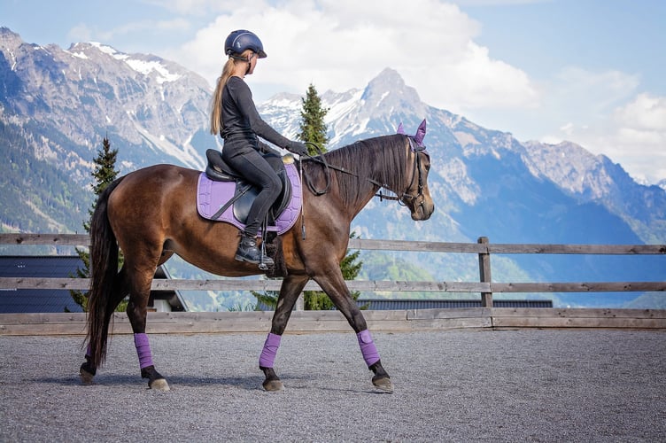 Horse riding 
