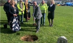 Mayor of Saltash plants a sapling to mark the Platinum Jubilee