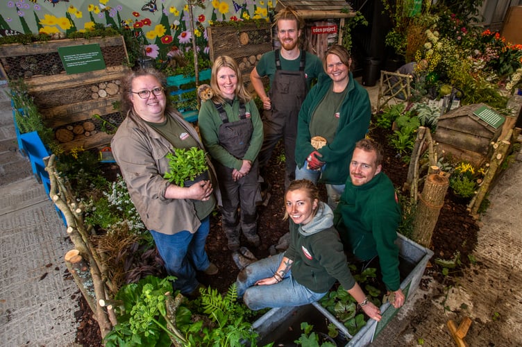 The Eden Project team who have created a show garden at the Cornwall Garden Society spring show at Wadebridge Show Ground