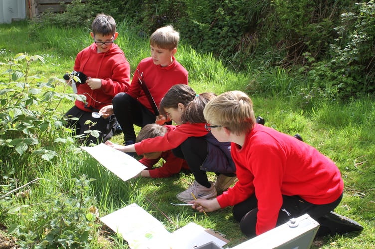 School pupils learning about science through observing nature and storytelling